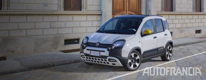 fiat panda autofrancia torino